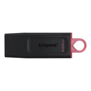 Memoria USB Kingston DataTraveler Exodia 256 GB DTX/256GB