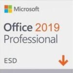 Microsoft OFFICE ESD PROFESIONAL 2019 32/64 BIT